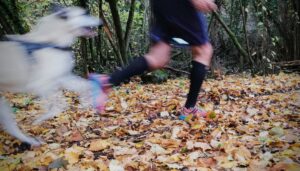 Correndo su un tappeto di foglie insieme a Maya-the-running-dog